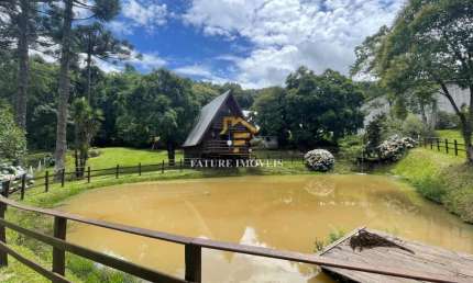 Chácara / sítio com 2 quartos à venda na Calabria, 1, São Gotardo (Distrito), Flores da Cunha por R$ 2.500.000