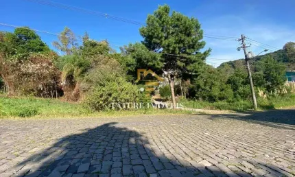 Terreno à venda na Jeronimo Demori, São Luiz, Caxias do Sul por R$ 125.000