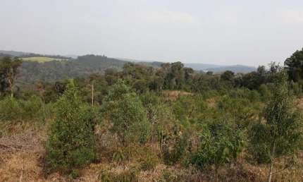 TERRENO RURAL COM 152.369,59m² LOCALIZADO EM SÃO BENTO DO SUL-SC