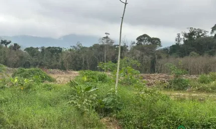 Área à venda, Praia da Baleia, Camburi, São Sebastião, SP.