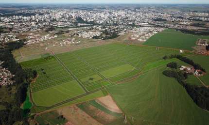 Terreno à venda na Avenida Barão do Rio Branco, Centro, Cascavel