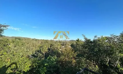 Chácara / sítio com 3 quartos à venda na Área Rural de Palmas, Palmas 