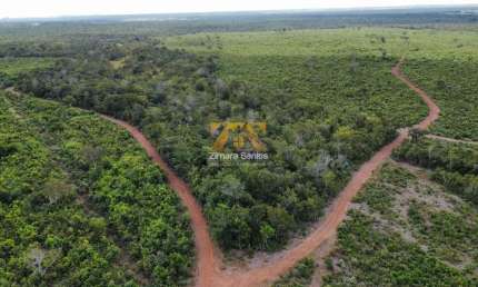 Fazenda, 269 alqueires - Centro - Lagoa da Confusão/TO
