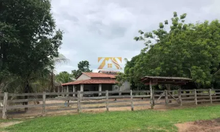 Chácara / sítio com 1 quarto à venda na Silvanópolis, 8967, Setor Central, Silvanópolis