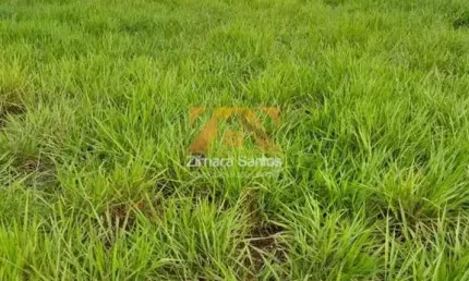 Chácara / sítio com 1 quarto à venda na Fazenda Em Piçarra Pa, 1, Centro, Piçarra