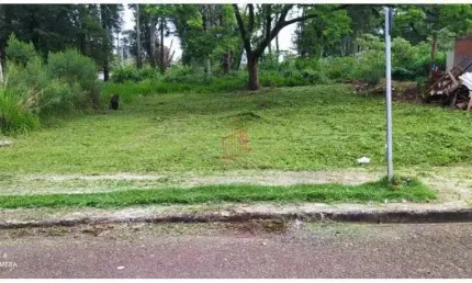 Terreno à venda no Morumbi, Cascavel 