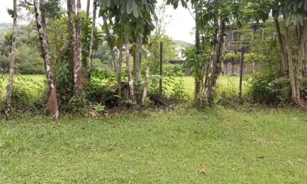 Terreno à venda, 1450 m² por r$ 1.300.000,00 - marinas - guarujá/sp