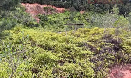 Terreno à venda no Centro, Santo Amaro da Imperatriz 