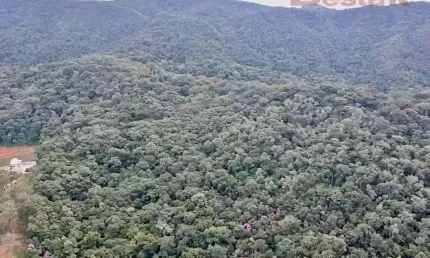 Chácara / sítio à venda na Vila Doze, Antônio Carlos 