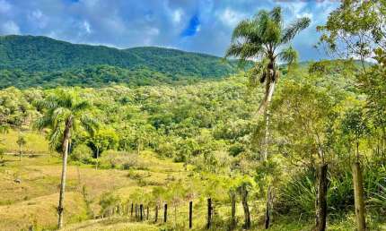 Chácara / sítio à venda na Vila Doze, Antônio Carlos 