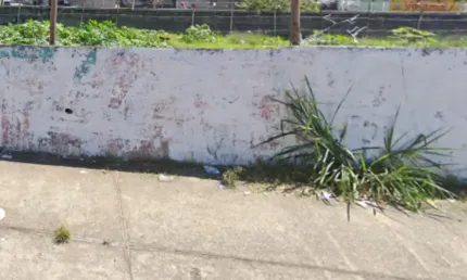terreno padrão de 3.977 m² está à venda por R$ 17.000.000