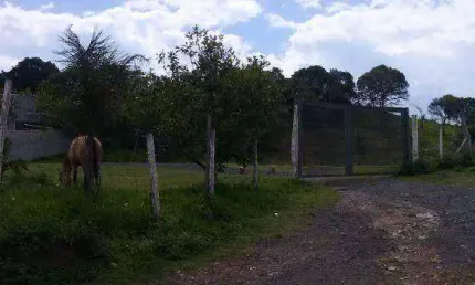 terreno  à venda 34.000m², Chácara Jaraguá, São Paulo - AR0014.