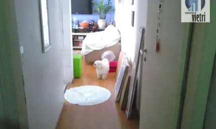 Amplo apartamento de 2 dorms, dependências de empregada. bem localizado na freguesia do ó. financiamento ok. use seu fgts