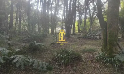 Terreno à venda no bairro ana rech em caxias do sul/rs