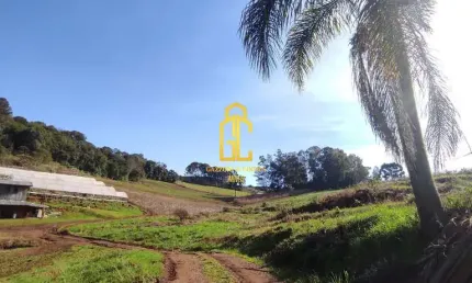 Chácara à venda no bairro Santa Lúcia do Piaí - Caxias do Sul/RS
