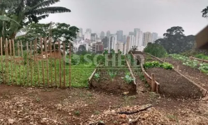 Terreno Comercial 1.789 m² na Avenida Morumbi ? Oportunidade Única!