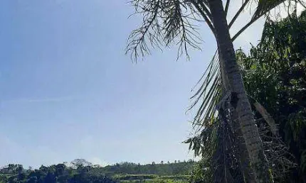 Terreno à venda, 753 m² por r$ 86.000,00 - canto das águas - igaratá/sp