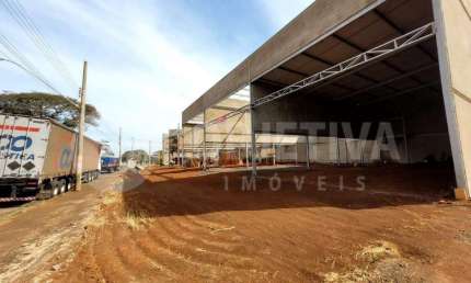 Galpão para aluguel, 4 vagas, SANTA MONICA - UBERLANDIA/MG