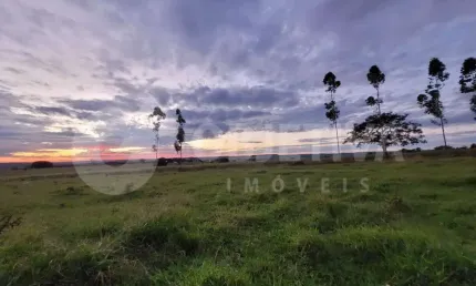 Sítio com 75.000m², Topografia plana, 4 km do Trevo da Petrobras - Uberlândia