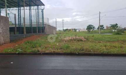 Terreno comercial para alugar no Novo Mundo, Uberlândia 