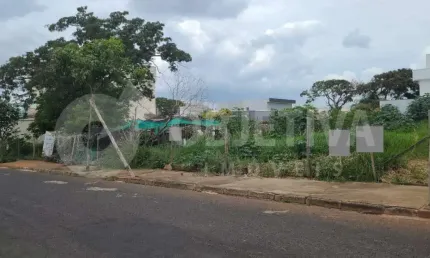 Oportunidade única! lote no bairro jardim karaíba em uberlândia