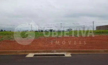 Terreno à venda, PRAÇA ALTO UMUARAMA - UBERLANDIA/MG