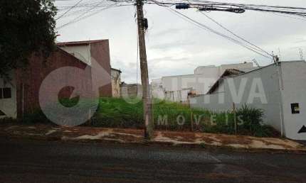 Lote de gaveta disponível para venda no bairro Vigilato Pereira em Uberlândia