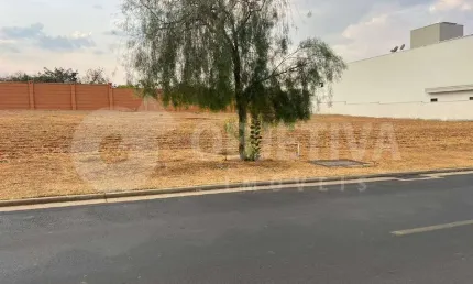 Terreno em condomínio à venda, alphaville 2 - uberlandia/mg
