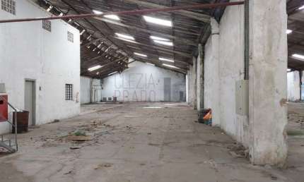 Barracão / Galpão / Depósito com 4 salas para alugar na Chácara Santo Antônio, São Paulo , 5963 m2 por R$ 97.800
