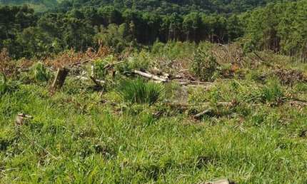 Terreno à venda no Bom Jardim, Camanducaia , 20000 m2 por R$ 321.000