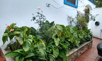 Casa com 4 quartos à venda na Sararé, --, Alto de Pinheiros, São Paulo
