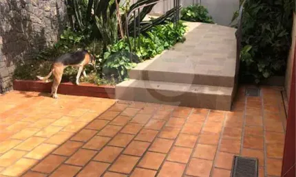 Casa com 3 quartos à venda na Rua Tito, --, Vila Romana, São Paulo