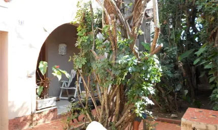 Casa com 3 quartos à venda na Rua Bartolomeu Zunega, --, Pinheiros, São Paulo