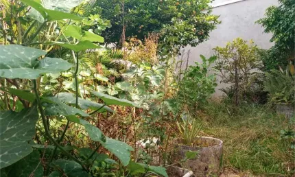Casa térrea com 3 quartos à venda em vila ipojuca - sp