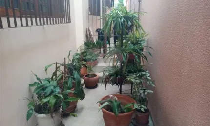 Casa térrea com 3 quartos à venda em vila ipojuca - sp