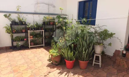 Casa de vila com 3 quartos à venda em vila madalena - sp