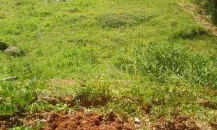 Terreno à venda, 1086 m² por R$ 1.600.000,00 - Jurerê - Florianópolis/SC