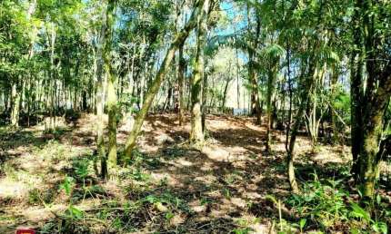 Terreno à venda na Princesa Leopoldina, 879, Caldas da Imperatriz, Santo Amaro da Imperatriz