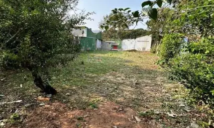 Terreno em condomínio fechado à venda na Rodovia Francisco Magno Vieira, 4023, Campeche, Florianópolis
