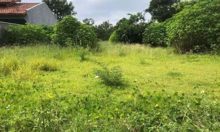 Terreno à venda na Servidão João Batista Pires, 556, Campeche, Florianópolis