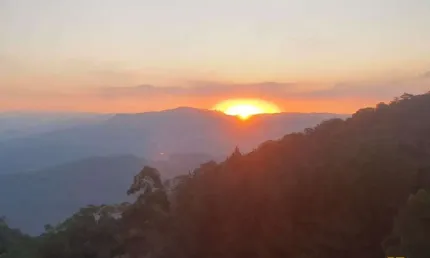 Sítio à Venda - Estrada Geral de Loeffelscheidt | Águas Mornas - SC