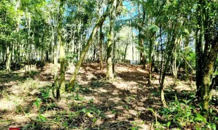 Terreno comercial à venda na Princesa Leopoldina, 879, Caldas da Imperatriz, Santo Amaro da Imperatriz