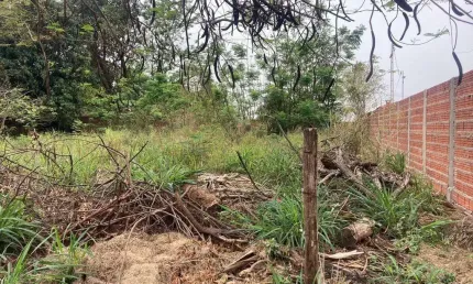 Terreno à venda, Jardim Recreio Lago dos Paturis, Pederneiras, SP