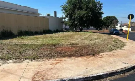 Terreno à venda na Rua José Fernandes Gil, 1, Jardim Acaraí, Pederneiras