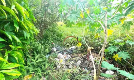 Terreno à venda na Rua Doutor Roberto Silva, 23, Cidade Balneario Peruibe, Peruíbe