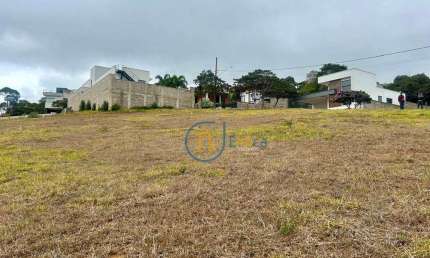 Terreno à venda, 454 m² por R$ 360.000,00 - Residencial Alvim - Juiz de Fora/MG