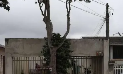 Terreno à venda na Rua Maria Brunatto Cantador, Fazenda Velha, Araucária