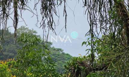 Casa com 4 quartos à venda na Estrada da Canoa, São Conrado, Rio de Janeiro