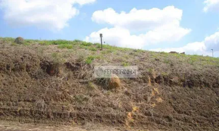 Casa com 4 dormitórios à venda, 400 m² por R$ 5.950.000,00 - Condomínio Reserva do Paratehy - São José dos Campos/SP