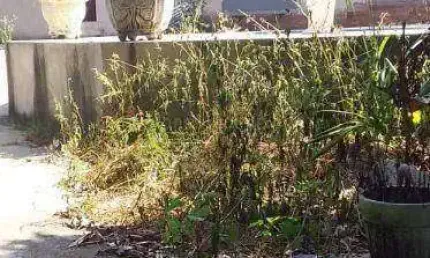 Casa com 4 dormitórios à venda, 280 m² por r$ 450.000,00 - várzea das moças - niterói/rj